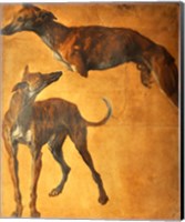 Framed Study of Greyhounds