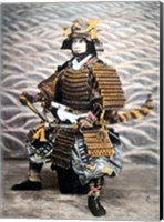 Framed Samurai 1880