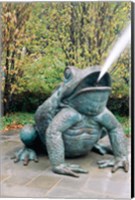 Framed USA, Texas, Dallas, Dallas Arboretum, frog sculpture spitting out water