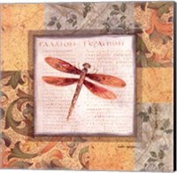 Framed Collaged Dragonflies II