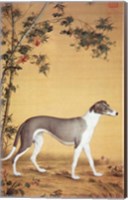 Framed Greyhound by Bamboo