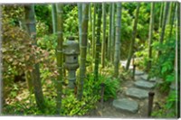 Framed Hasedera-Bamboo Grove