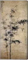 Framed Wang Fu-Ink Bamboo