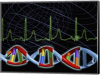 Framed Close-up of the human DNA structure