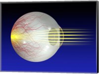 Framed Close-up of the human eyeball