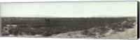 Framed Alfalfa fields, Pre City Las Vegas, Nevada
