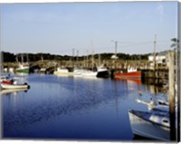 Framed Orleans harbor, Cape Cod, Massachusetts