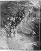 Framed Col. Roosevelt's party descending Bright Angel Trail