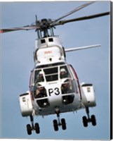 Framed Canadian Forces Boeing Vertol CH-113 Labrador helicopter