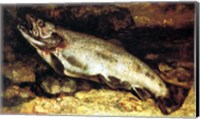 Framed Gustave Courbet - The Trout