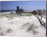 Framed Cape Cod National Seashore USA