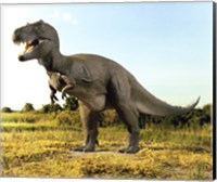 Framed Close-up of a tyrannosaurus rex standing in a field