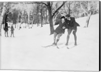 Framed Learning to Ski, Quebec