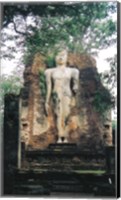 Framed Standing Buddha Wat Phra Si Iriyabot