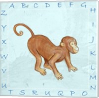 Framed Monkey Alphabet