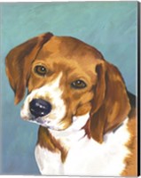 Framed Dog Portrait-Beagle