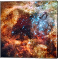 Framed Hubble Space Telescope image of the R136 Super Star Cluster