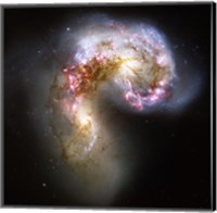 Framed Antennae Galaxies in Collision