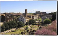 Framed Look from Palatine Hill Francesca Romana, Arch of Titus and Colosseum, Rome, Italy