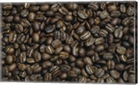 Framed Close-up of coffee beans