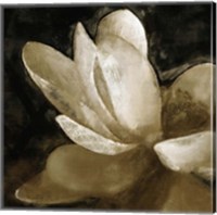 Framed Bronze Lily V