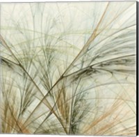 Framed Fractal Grass VI