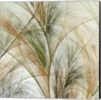 Framed Fractal Grass IV