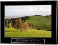 Framed Determination-Golf