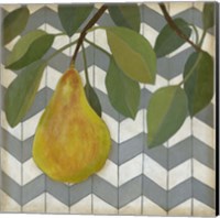 Framed Fruit and Pattern II