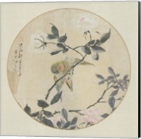 Framed Oriental Bird Silk I