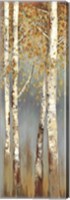 Framed Butterscotch Birch Trees I