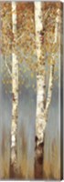 Framed Butterscotch Birch Trees II