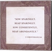 Framed Sow Sparingly 2 Corinthians 9:6