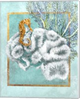 Framed 'Coral and Seahorse' border=