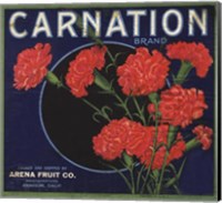 Framed Carnation Brand Oranges, Anaheim