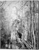 Framed McCulloch Gold Mill, Copper Branch Guilford County, North Carolina