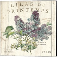 Framed Lilas de Printemps