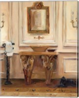 Framed Classical Bath I