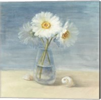 Framed Daisies and Shells