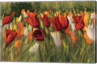 Framed Tipsy Tulips