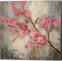 Framed 'Cherry Blossom II' border=