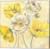 Framed Gold and White Contemporary Poppies I