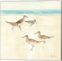 Framed Sand Pipers Square I