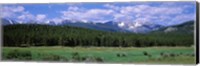 Framed Beaver Meadows Rocky Mountain National Park CO USA