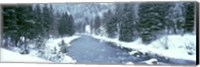 Framed USA, Montana, Gallatin River, winter