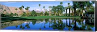 Framed Reflection of trees on water, Thunderbird Country Club, Rancho Mirage, Riverside County, California, USA