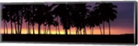 Framed Silhouette of palm trees on the beach, Puuhonua o Honaunau National Historical Park, Big Island, Hawaii, USA