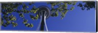 Framed Space Needle Maple Trees Seattle Center Seattle WA USA