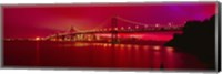Framed Suspension bridge lit up at night, Bay Bridge, San Francisco, California, USA
