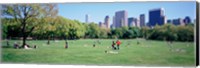 Framed Group Of People In A Park, Sheep Meadow, Central Park, NYC, New York City, New York State, USA